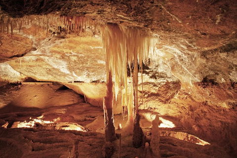 Jenolan Caves: Ribbon Cave Tour - Accommodation Directory 0