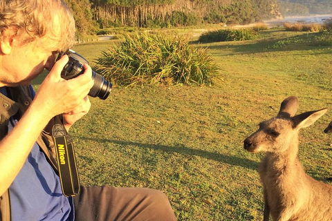 Highlights Of The Eurobodalla (half Day Private Tour) - Accommodation Directory 2