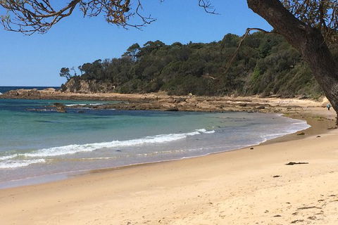Highlights Of The Eurobodalla (half Day Private Tour) - Accommodation Directory 5