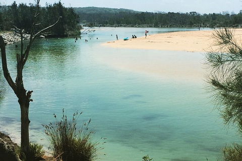 Highlights Of The Eurobodalla (half Day Private Tour) - Accommodation Directory 6