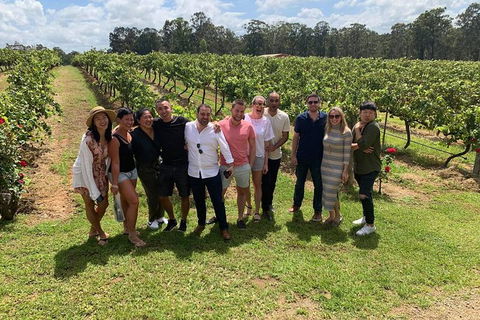 Hunter Valley Exclusive Kangaroo And Wine Tasting Experience - Accommodation Directory 6