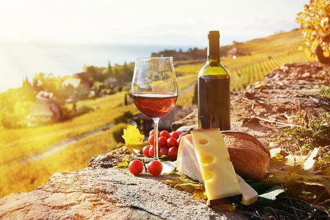 Six Hour - Plan Your Own Wine And Cheese Tour Hunter Valley - Accommodation Directory 0