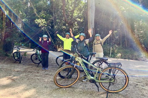 Guided E Bike Tour - Unicorn Falls & National Park - Accommodation Directory 3