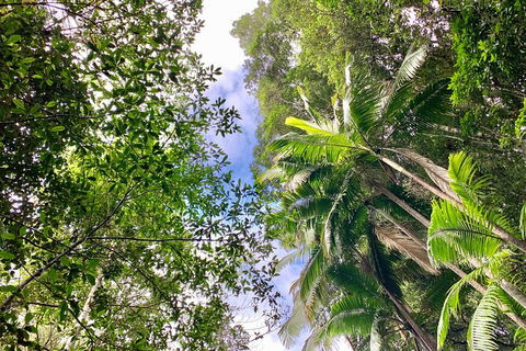 Guided E Bike Tour - Unicorn Falls & National Park - Accommodation Directory 5