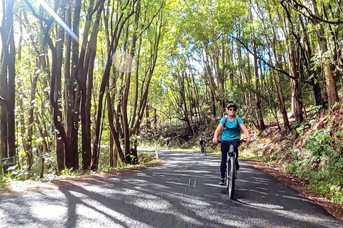 Guided E Bike Tour - Unicorn Falls & National Park - Accommodation Directory 16