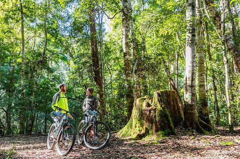 Guided E Bike Tour - Unicorn Falls & National Park - Accommodation Directory 14