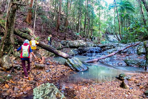 Guided E Bike Tour - Unicorn Falls & National Park - Accommodation Directory 17