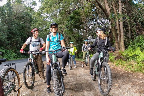 Guided E Bike Tour - Unicorn Falls & National Park - Accommodation Directory 11
