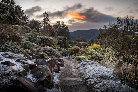 Blue Mountains Botanic Garden And Bilpin Tour From Katoomba With Cider Tasting - Accommodation Directory 2