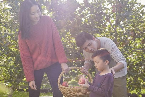 Blue Mountains Botanic Garden And Bilpin Tour From Katoomba With Cider Tasting - Accommodation Directory 1