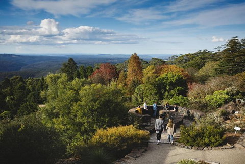 Blue Mountains Botanic Garden And Bilpin Tour From Katoomba With Cider Tasting - Accommodation Directory 5