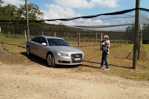 The Secret Vines Experience Port Macquarie - Accommodation Directory 0