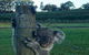 The Secret Vines Experience Port Macquarie - thumb 1