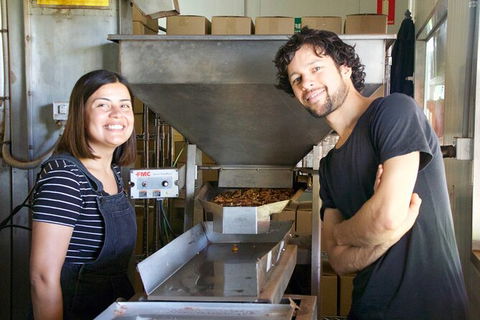 Pecan Farm Tour And Workshop, Byron Bay Hinterland - Accommodation Directory 7