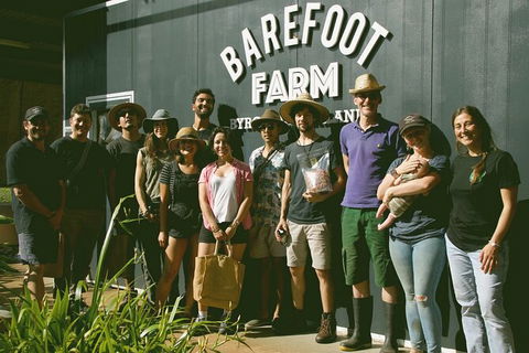 Pecan Farm Tour And Workshop, Byron Bay Hinterland - Accommodation Directory 0