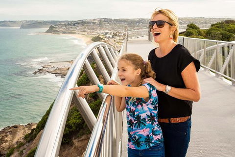 Newcastle Scenic Explorer - 2 Hour Tour By Minibus - Accommodation Directory 0