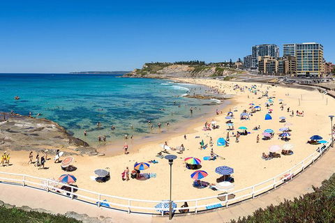 Newcastle Scenic Explorer - 2 Hour Tour By Minibus - Accommodation Directory 16