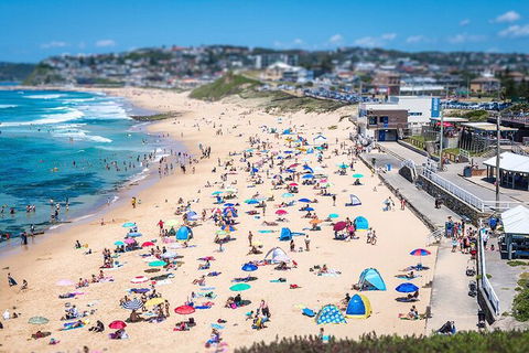 Newcastle Scenic Explorer - 2 Hour Tour By Minibus - Accommodation Directory 6