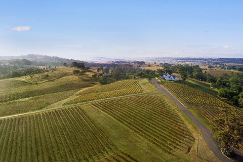 Audrey Wilkinson Vineyard: Fromage And Fortified Wine Experience - Accommodation Directory 1