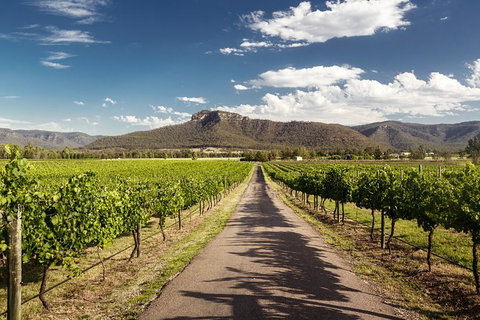 Hunter Valley Highlights Private Wine Tour From Sydney - Accommodation Directory 2