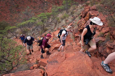Uluru, Kata Tjuta And Kings Canyon Camping Safari From Alice Springs - Accommodation Directory 3