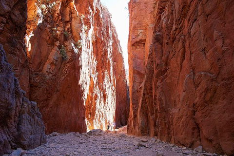 Best Of Alice Springs Full Day Tour - Accommodation Directory 6