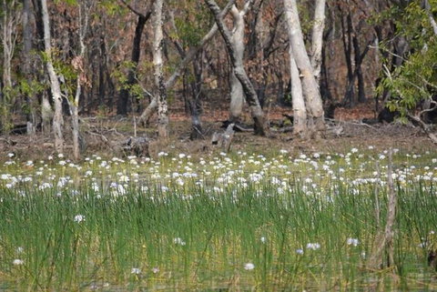 Darwin: Premium Litchfield Regional 11 Hours Tour - Accommodation Directory 4