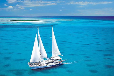 Ocean Spirit Michaelmas Cay Dive And Snorkel Cruise From Cairns - Accommodation Directory 0