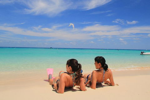 Ocean Spirit Michaelmas Cay Dive And Snorkel Cruise From Cairns - Accommodation Directory 3