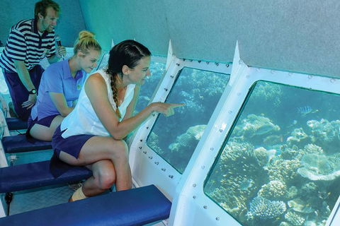 Ocean Spirit Michaelmas Cay Dive And Snorkel Cruise From Cairns - Accommodation Directory 5