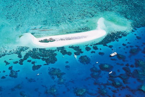 Ocean Spirit Michaelmas Cay Dive And Snorkel Cruise From Cairns - Accommodation Directory 4