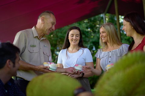 Daintree And Cape Tribulation Tour From Cairns - Accommodation Directory 1