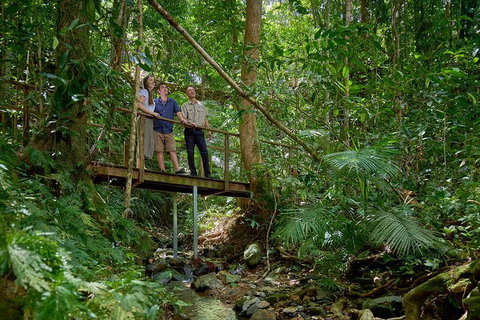 Daintree And Cape Tribulation Tour From Cairns - Accommodation Directory 3