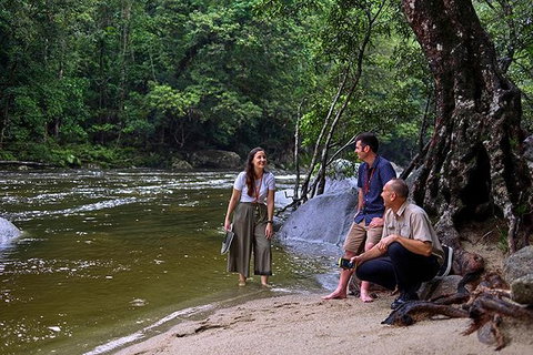 Daintree And Cape Tribulation Tour From Cairns - Accommodation Directory 2