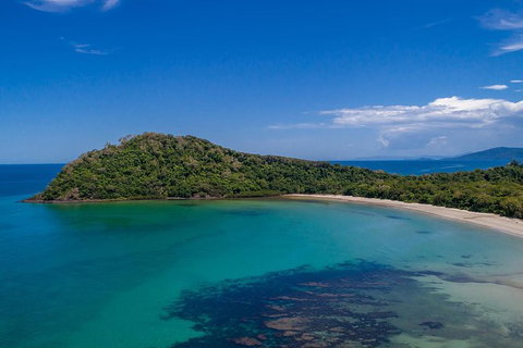 Daintree And Cape Tribulation Tour From Cairns - Accommodation Directory 7