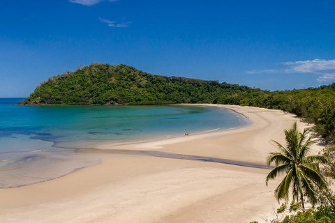 Daintree And Cape Tribulation Tour From Cairns - Accommodation Directory 8