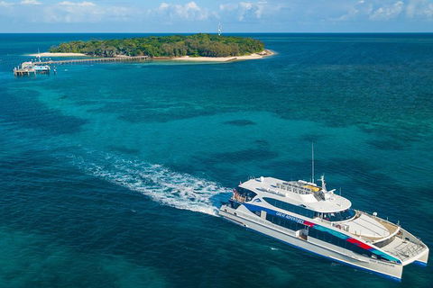 Ultimate 3-Day Great Barrier Reef Cruise Pass - Accommodation Directory 5