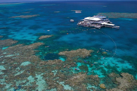 Ultimate 3-Day Great Barrier Reef Cruise Pass - Accommodation Directory 2