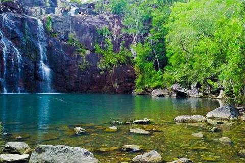 Reef, Wildlife & Rainforest - Reef & Beyond Guided Holidays - Accommodation Directory 0
