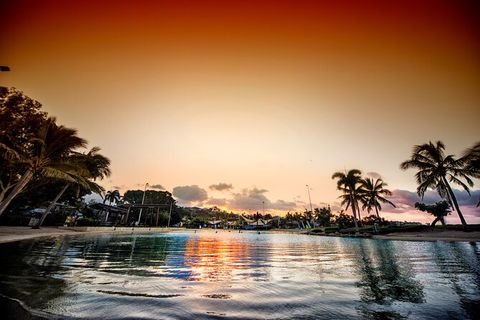 Reef, Wildlife & Rainforest - Reef & Beyond Guided Holidays - Accommodation Directory 6