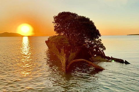 Aquascene Magnetic Island Sunset & Shipwreck Tour - Accommodation Directory 3
