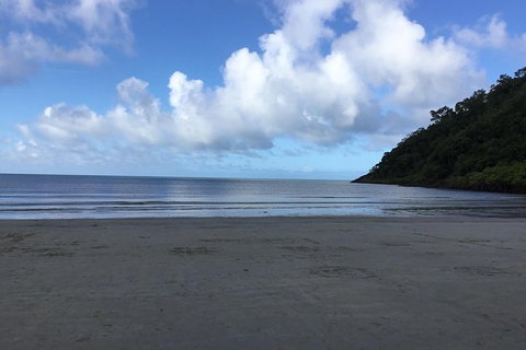 Daintree Luxury Limousine Tour - Full Day - Accommodation Directory 6
