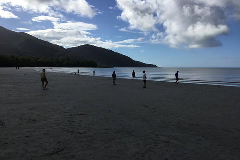 Daintree Luxury Limousine Tour - Full Day - Accommodation Directory 5