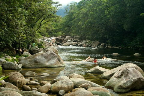 Port Douglas Daintree National Park Boutique Full-Day Tour - Accommodation Directory 2