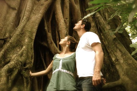 Port Douglas Daintree National Park Boutique Full-Day Tour - Accommodation Directory 3