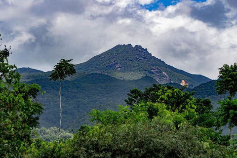 Port Douglas Daintree National Park Boutique Full-Day Tour - Accommodation Directory 0