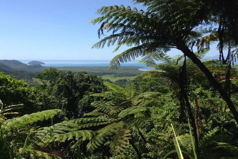 Port Douglas Daintree National Park Boutique Full-Day Tour - Accommodation Directory 1