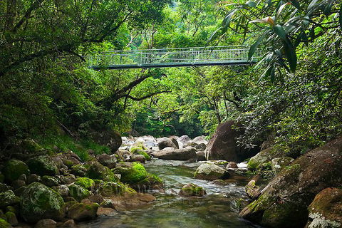 SHUTTLE - Mossman Gorge & Cooya Beach From Port Douglas (Return Transfer) - Accommodation Directory 4