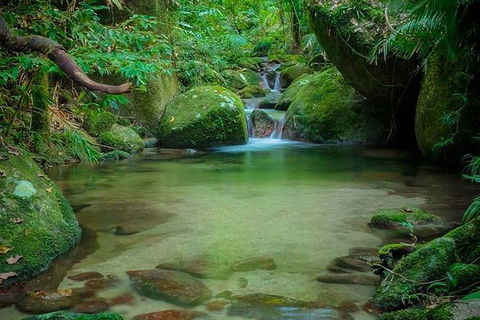 SHUTTLE - Mossman Gorge & Cooya Beach From Port Douglas (Return Transfer) - Accommodation Directory 2
