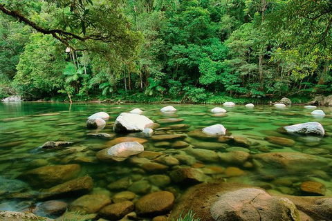 SHUTTLE - Mossman Gorge & Cooya Beach From Port Douglas (Return Transfer) - Accommodation Directory 3